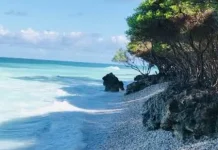 Pantai Oebon Muncul Sebagai Magnet Wisata Baru TTS