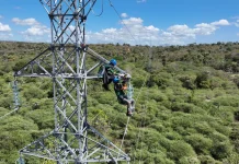 Kisah Teknisi PLN: Panen Isolator di Tower 86 Kupang Demi Listrik 70 kV Tetap Andal