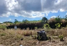 Sebanyak 78 Kasus Kebakaran Lahan Terjadi di Kota Kupang