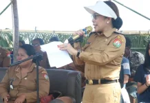 Bupati SBD Resmi Buka Turnamen Pacuan Kuda Bergengsi 2026