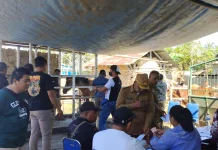 Pacuan Kuda Bupati Cup Semarakkan HUT RI Ke-81 Sumba Barat