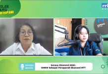BPS NTT: Data Sensus Ekonomi 2026 Jadi Kunci Dongkrak Nilai Tambah Produk Lokal