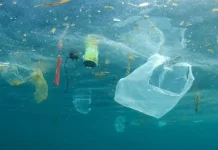 Hari Bebas Kantong Plastik Sedunia Ajak Masyarakat Kurangi Plastik Sekali Pakai