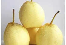 Buah-Buah yang aman untuk penderita Gula
