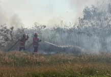 Padang Rumput Bandara El Tari Kupang Terbakar, Operasional Aman