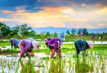 10 Provinsi Indonesia dengan Jumlah Desa Prioritas Terbanyak 2026