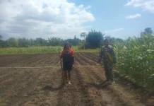 Babinsa Koramil Waingapu Dampingi Petani Siapkan Lahan Hortikultura Produktif