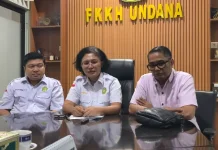 Akademisi Undana Dorong Perda Perlindungan Nakes