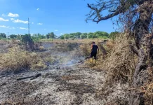 Damkar Kupang Catat 82 Kasus Kebakaran, Kelurahan Liliba Tertinggi