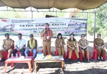 Yosef Lede Ajak Petani Oelatimo Maksimalkan Sawah Baru 77 Hektare