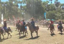 Festival Hus Ndeo Perkuat Pelestarian Budaya dan Pariwisata Rote Ndao
