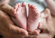 Bayi Perempuan Ditemukan di Kardus di Hutan Mnera Kabnono, Kupang