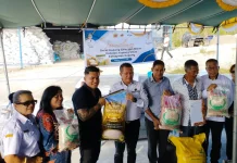 Bupati Kupang Luncurkan Beras Kupang Emas, Dorong Kemandirian Pangan