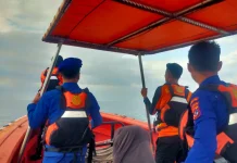 Pria 40 Tahun Diduga Lompat dari KM Lambelu, Tim SAR Intensifkan Pencarian