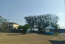 BMKG: Angin Kencang Masih Berpotensi Landa Sejumlah Wilayah NTT