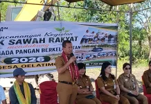 Bupati Kupang Minta Sawah Baru Terus Produktif