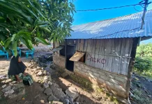 YBM PLN Bedah Rumah di Lembata, Harapan Baru bagi Laka Mau