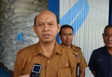 Rote Ndao Surplus Beras, Pemkab Siap Jaga Stabilitas Harga Pangan
