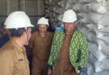 Rote Ndao Pasok Beras Antar Daerah