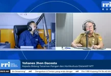 Pemprov NTT Fokus Tingkatkan Kesejahteraan Petani melalui Produktivitas