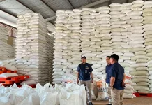 Perum Bulog NTT Jamin Stok Beras Aman Selama Tiga Bulan ke Depan