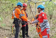 Jaga Terang, Tim PLN Gerak Cepat Ganti Isolator Tower Transmisi Naibonat-Nonohonis