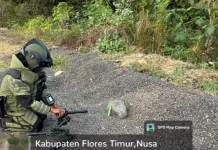 Tim Jibom Brimob Polda NTT Musnahkan Tiga Bom Pipa Rakitan di Flores Timur