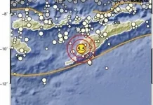 Gempa M5,3 Guncang Kupang, BMKG Sebut Tidak Berpotensi Tsunami