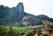 Batu Termanu Menjadi Ikon Wisata Budaya Rote