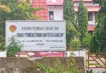 Disperindag NTT Perkuat SDM IKM Melalui Pelatihan dan Hilirisasi Produk