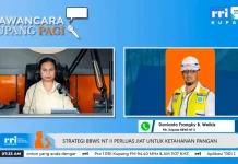 BBWS NT II Perluas Jaringan Irigasi Dukung Ketahanan Pangan Nasional