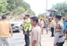 Kapolres Kupang Himbau Warga Waspada Angin Kencang dan Pohon Tumbang