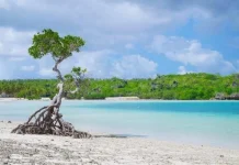 Pantai Oeseli Tawarkan Wisata Bahari Tenang