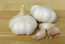 Bawang Putih: Rempah Ajaib Segudang Manfaat bagi Kesehatan