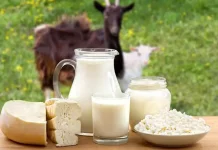 7 Manfaat Susu Kambing untuk Kesehatan, dari Tulang hingga Kulit