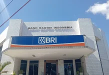BRI Kupang Salurkan KUR Rp165,33 Miliar, Fokus Ekspansi Nasabah Eksisting