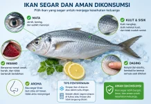 Cara Memilih Ikan Segar yang Aman dan Berkualitas untuk Dikonsumsi