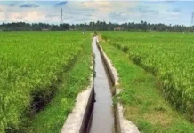 42 Lokasi Irigasi di NTT Siap Dibangun pada 2026, BBWS Dorong Ketahanan Pangan