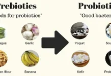 Manfaat Prebiotik bagi kesehatan Pencernaan