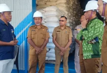 Bulog Jamin Harga Gabah Petani Rote