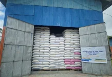 Dukung Sentra Ternak, Bulog NTT Serap 2.330 Ton Jagung dari Petani Lokal