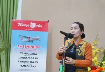 Rute Baru Wings Air Dorong Pariwisata dan Ekonomi Daerah