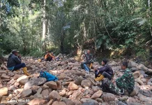 TNI Bersama Polhut Patroli Pengawasan Hutan Tanadaru