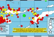 NTT Diguncang 145 Gempa Selama Periode 24-30 Juli