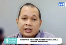 Pasokan Terjaga, Evolusi Hidroponik Dongkrak Ekonomi Lokal