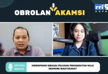 Evolusi Hidroponik Ajak Anak Muda Tak Malu Jadi Petani
