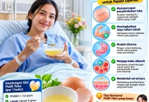 Protein Tinggi dalam Putih Telur, Kunci Percepat Pemulihan setelah Operasi