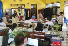 Anita Gah Tegaskan Pemda Tak Boleh Intervensi Dana Revitalisasi Sekolah