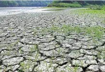 BMKG Ingatkan El Nino 2026 Berpotensi Perpanjang Kemarau di NTT
