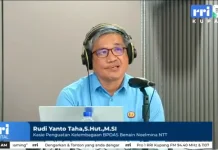 BP-DAS Benain Noelmina Buka Akses Bibit Penghijauan Gratis